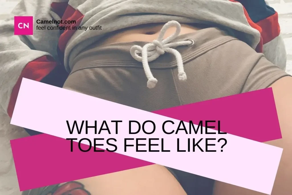 What Do Camel Toes Feel Like?